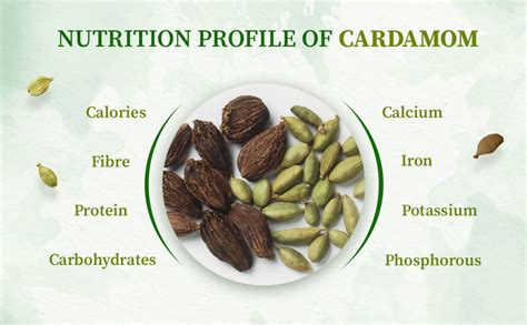 Cardamom Tea Health Benefits