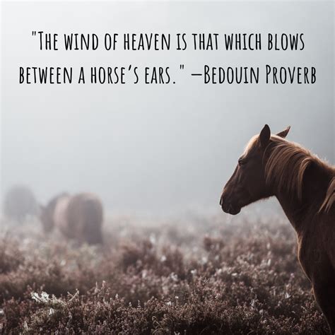 Good Horse Quotes And Sayings