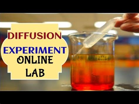 DIFFUSION EXPERIMENT | ONLINE LAB | VIRTUAL LEARNING | TEACHER PIENAY - YouTube