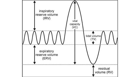 Measure Lung Volume - Instruments Direct