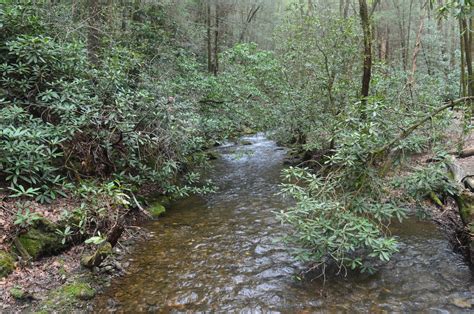 Raven Cliffs Wilderness: Raven Cliff Falls Trail, Helen, Georgia ...