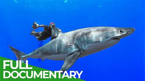 Adventure Ocean Quest: Discovering Another World | Special Episode ...