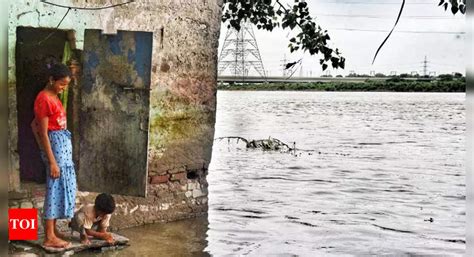 Yamuna: Yamuna In Spate, Just 1m Below The Danger Mark In Gb Nagar | Noida News - Times of India