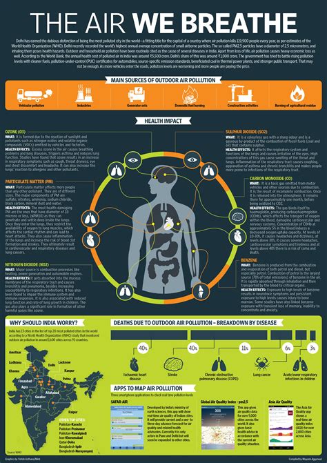 Air Pollution Infographic: Impact on Human Body
