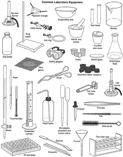 30+ Popular Laboratory Equipment and Scientific Instruments in English - ESLBUZZ