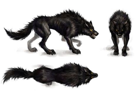 Pin by Thai-Anh Nguyen on 273 A3 Wolf | Canine art, Mythical creatures, Fantasy monster