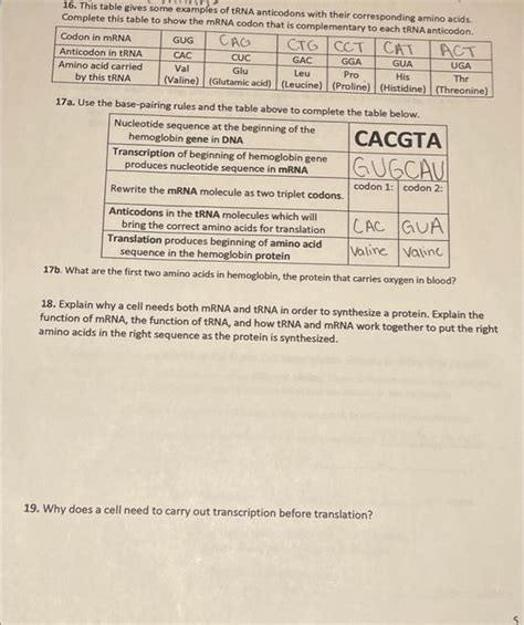 Solved 16. This table gives some examples of tRNA anticodons | Chegg.com