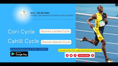 Cori Cycle - Cahill Cycle: Muscle Physiology - YouTube