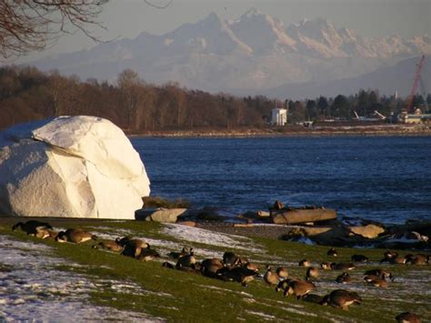 A Cold Day in White Rock, BC, Canada. | Canada, Incredible places, Vancouver city