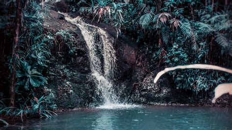 4K Waterfall Stream Forest Wallpaper - [3840x2160]