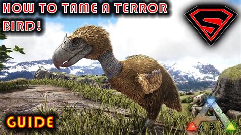 ARK: Terror Bird - How to Tame, Feed and Breed!