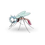 Mosquito and shadow | Free SVG