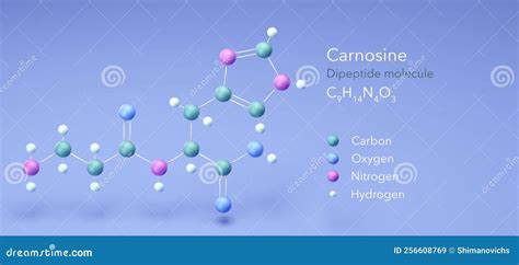 Dipeptide Molecule Sketch