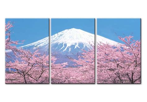 Mount Fuji Cherry Blossom