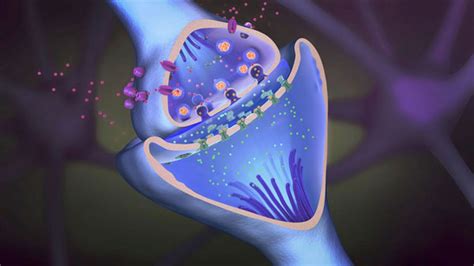 Exosomes – A Source Of Protein Biomarkers | Exosome RNA