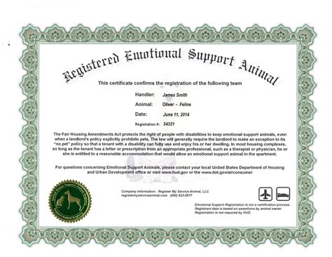 Esa Certificate Template