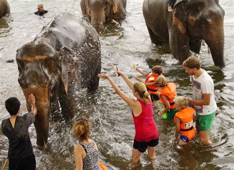 Top 10 Places Swimming With Elephants in Thailand - Thailand Travel ...