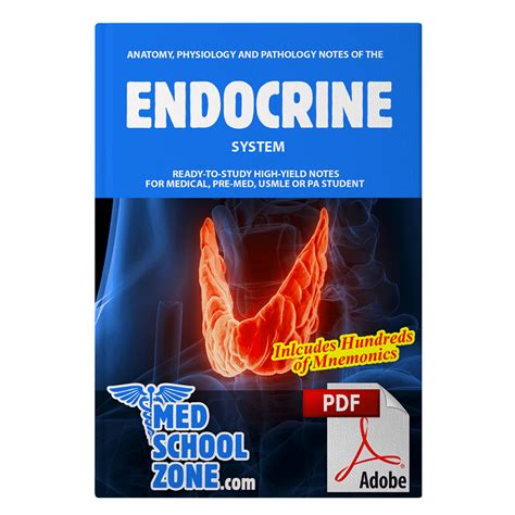 Endocrine System PDF Notes for Medical School