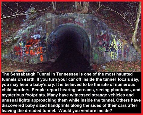 The Sensabaugh Tunnel In Tennessee : r/Kingsport_paranormal