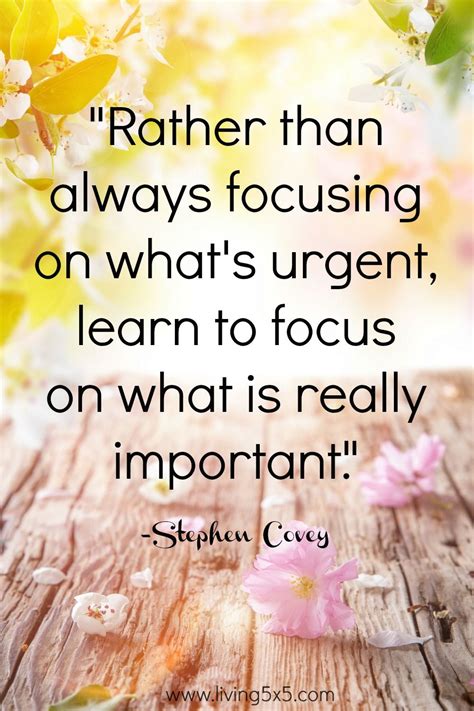 Inspirational Quote of the Week | Quote of the week, Stephen covey, Stephen covey quotes