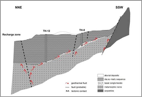 Schematic cross section-conceptual model of the geothermal field ...