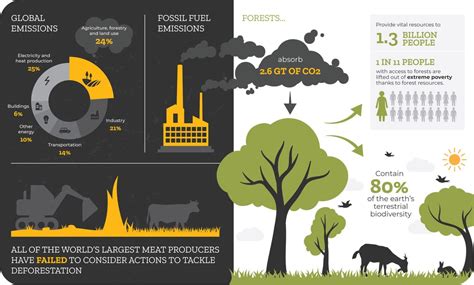 gauzy | corporate carbon footprint pledges must be backed by ...