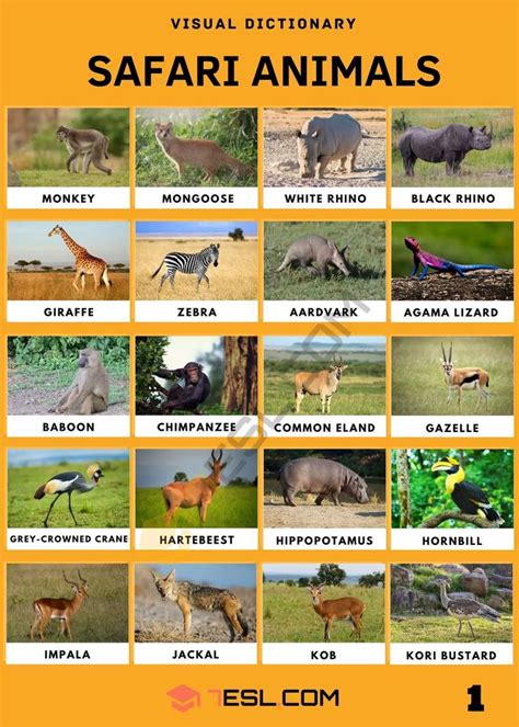 Safari Animals Names with Facts • 7ESL | Safari animals, Safari animals ...