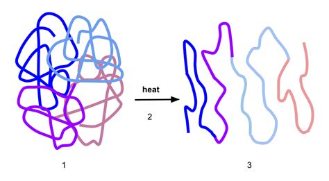 File:Diagram -2 denaturation.svg - Wikimedia Commons