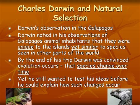 PPT - Natural Selection and Evolution PowerPoint Presentation, free ...