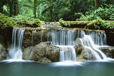 🔥 [50+] Live Waterfall Wallpapers for Desktop | WallpaperSafari