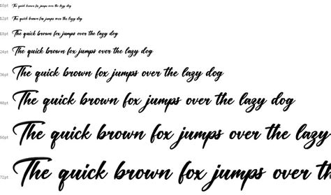 Daughter of Fortune font by Octotype | Thomas Boucherie | FontRiver