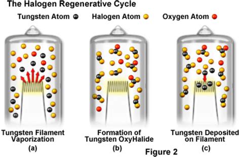 Tungsten Filament Manufacturing Process