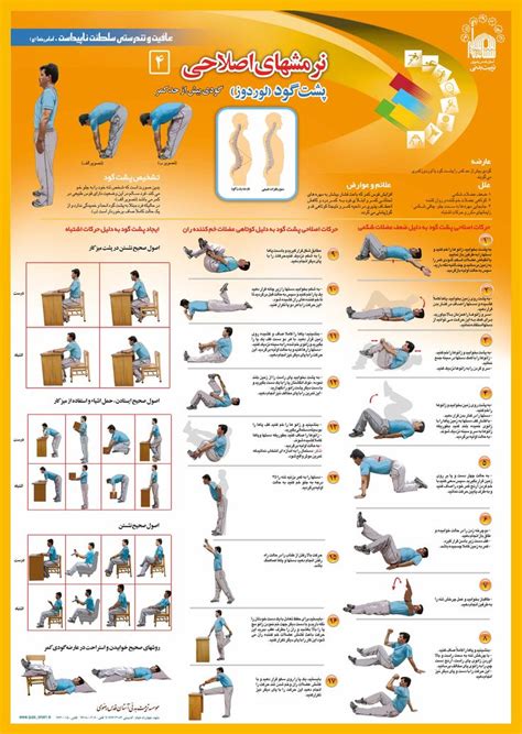 Corrective Exercise (Lordosis ) | Exercise | Pinterest