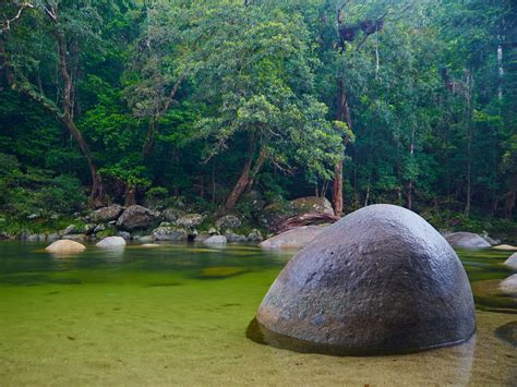 Visiting safely | Mossman Gorge, Daintree National Park | Parks and ...