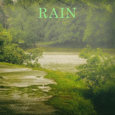 ‎Rain - Album by Rain Studios - Apple Music