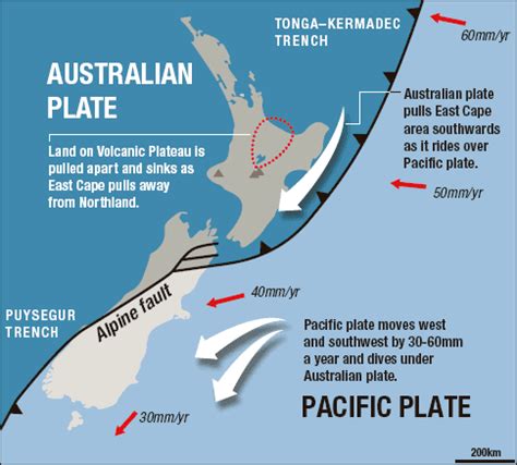 New Zealand Fault Line Map