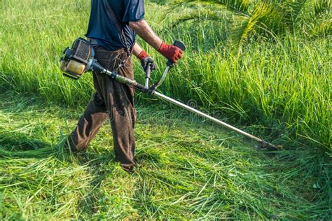 The Gardener Cutting Grass by Lawn Mower Stock Photo - Image of ...