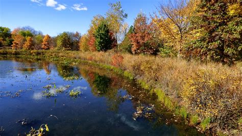 ALEWIFE BROOK WILDLIFE RESERVATION | mackjay | Flickr