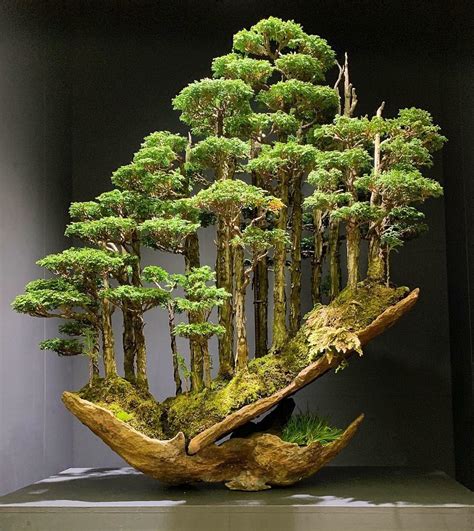 This bonsai tree recently sold for ¥1,800,000 : r/pics