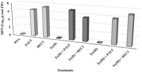 Most probable number of diazotrophs from strawberry roots obtained by ...