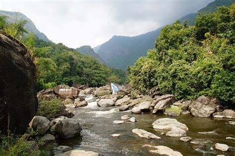 Virgin Valley Pathrakadvu (Mannarkkad) - All You Need to Know BEFORE You Go - Updated 2020 ...