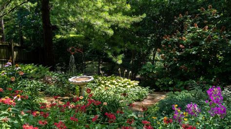 Meet our 2019 Great Garden Contest winners | Home & Garden | stltoday.com