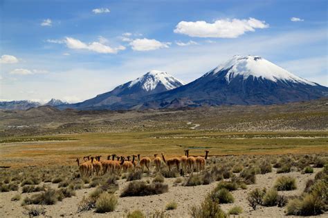 10 Most Beautiful National Parks in Chile (with Map) - Touropia