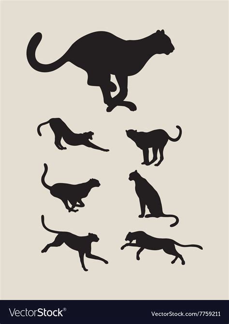 Cheetah Silhouette Collection Royalty Free Vector Image