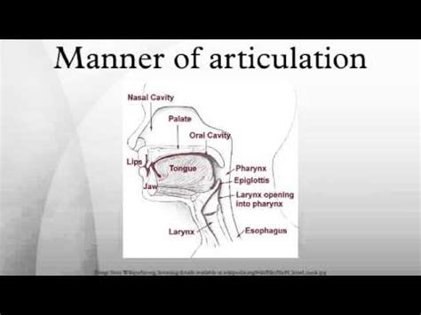 Manner of articulation - YouTube