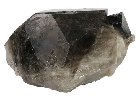 Large, 6.9" Smoky Quartz Crystal - Brazil (#61237) For Sale - FossilEra.com