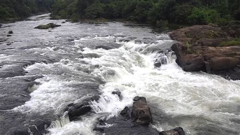 perunthenaruvi waterfalls pathanamthitta kerala - YouTube