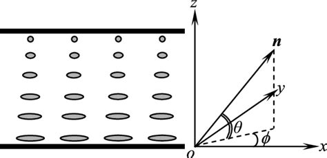 Structure of the twisted nematic liquid crystal cell and the Cartesian... | Download Scientific ...