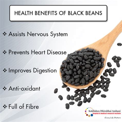 Benefits of Black Beans - Health Tips from Kokilaben Hospital