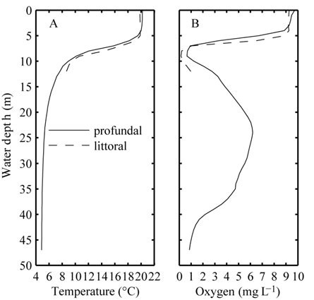 Mean temperature (A) and oxygen profiles (B) of the water column of ...